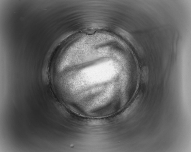 X0000088041018200706081605