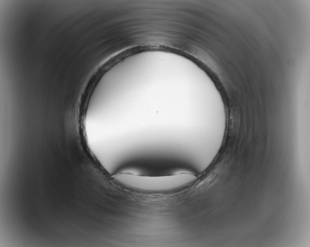 X0000088041020200706081605