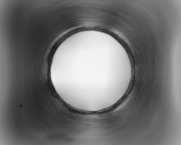 X0000088041021200706081605