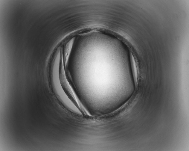 X0000088041022200706081605