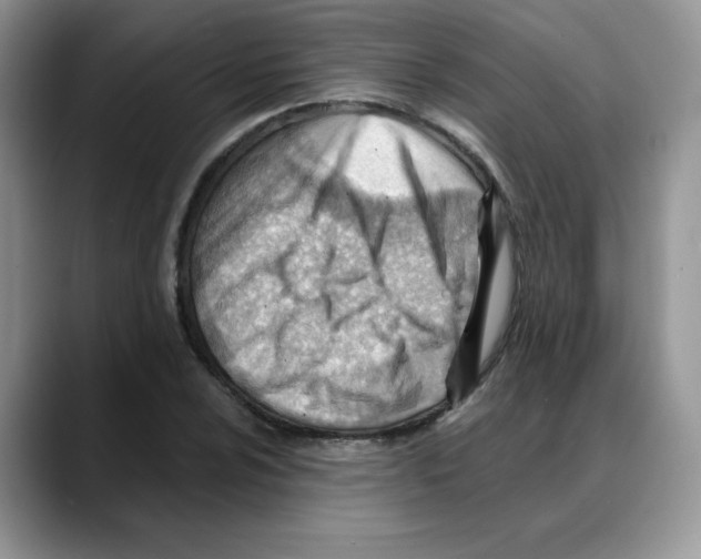 X0000088041024200706081605