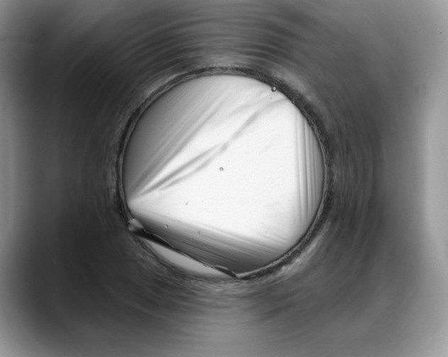 X0000088041025200706081605