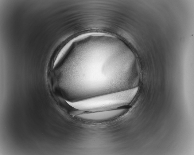 X0000088041026200706081605