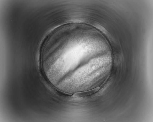 X0000088041030200706081605