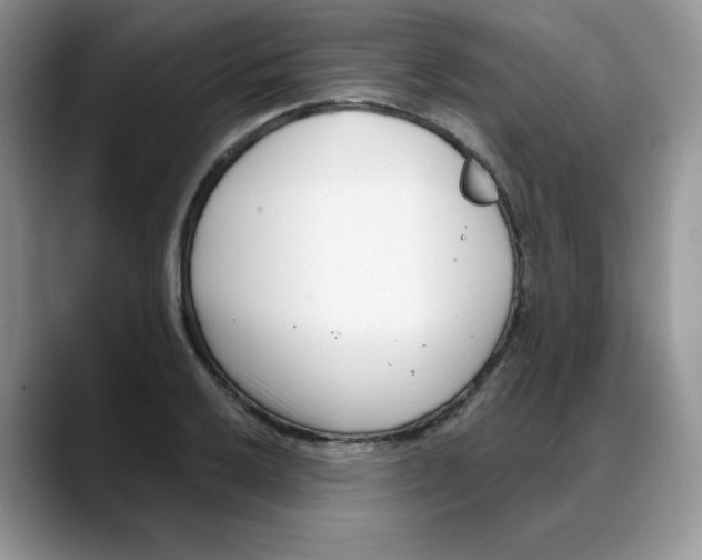 X0000088041032200706081605