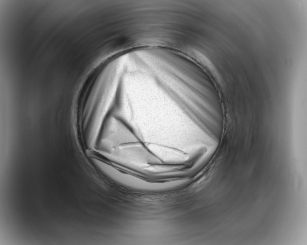 X0000088041035200706081605