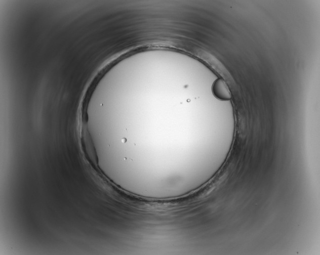 X0000088041036200706081605