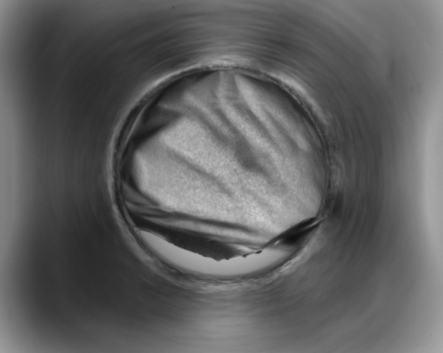 X0000088041038200706081605