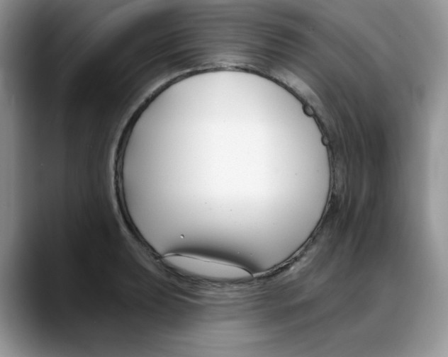 X0000088041039200706081605