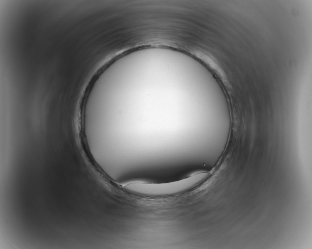 X0000088041040200706081605