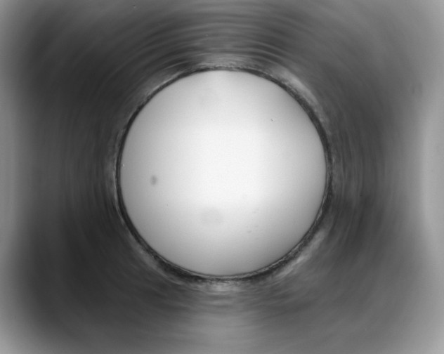 X0000088041041200706081605