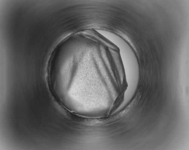 X0000088041042200706081605