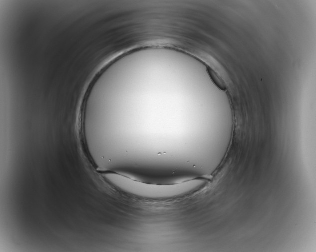 X0000088041044200706081605