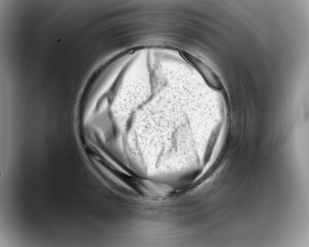 X0000088041045200706081605