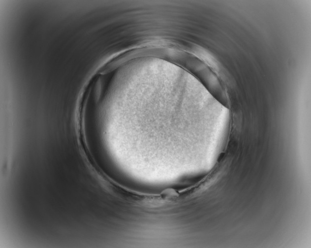 X0000088041046200706081605