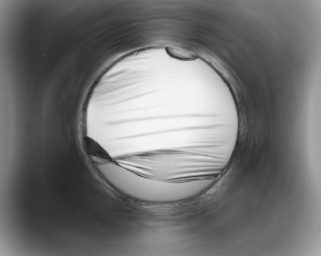 X0000088041048200706081605