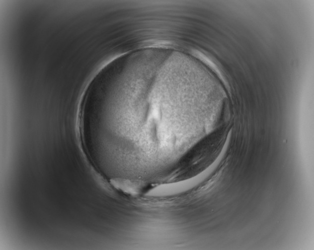 X0000088041050200706081605