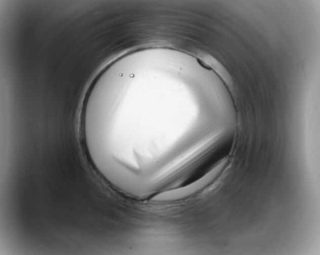 X0000088041052200706081605