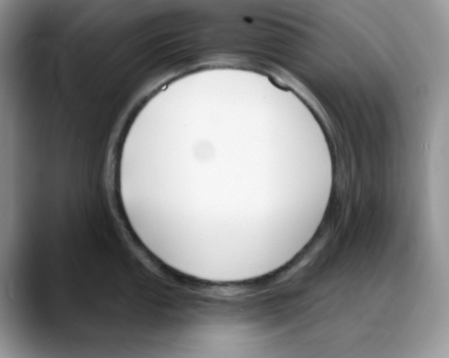 X0000088041053200706081605