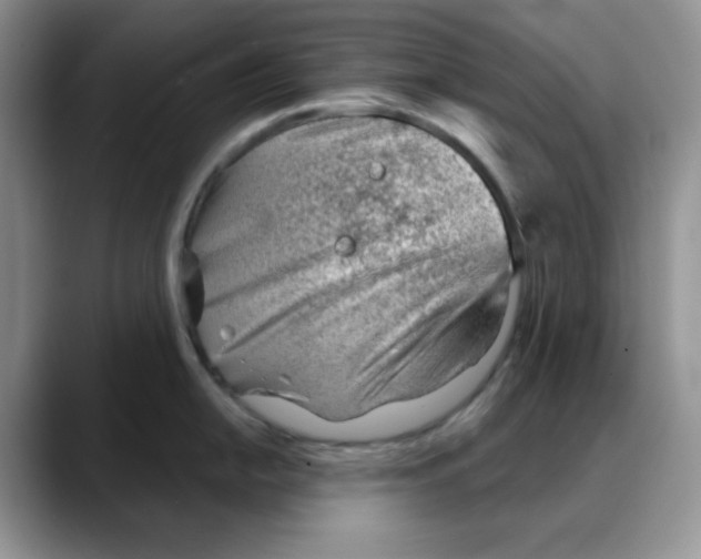 X0000088041054200706081605