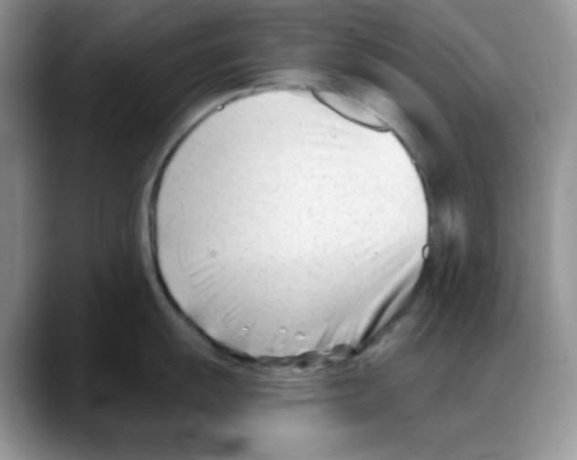 X0000088041055200706081605