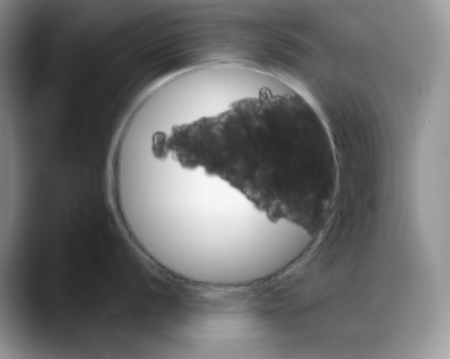 X0000088041056200706081605