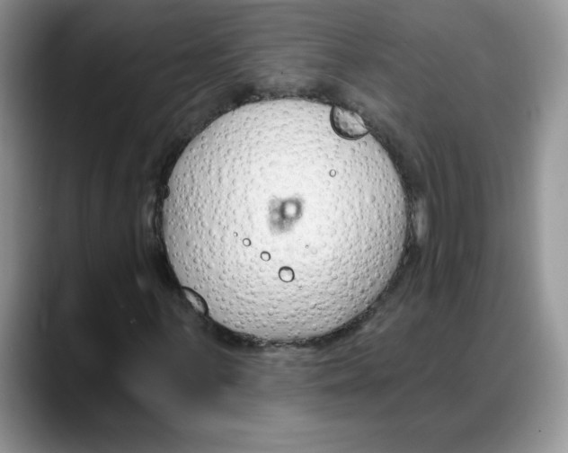 X0000088041059200706081605