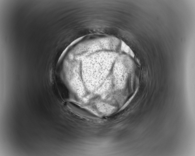 X0000088041060200706081605