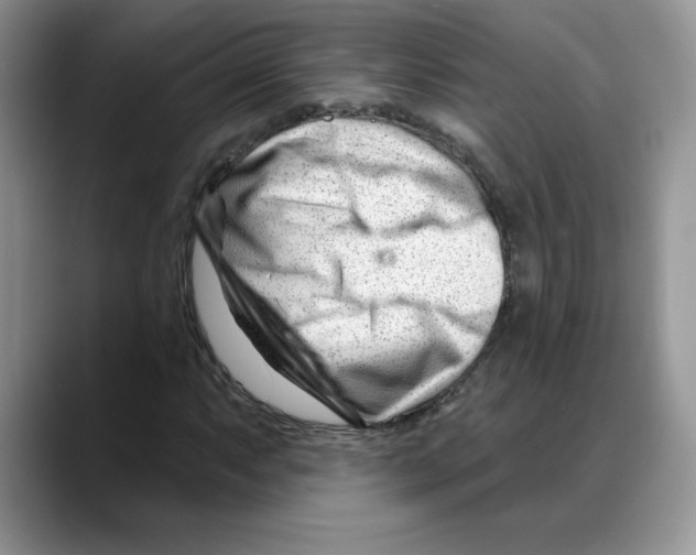 X0000088041063200706081605