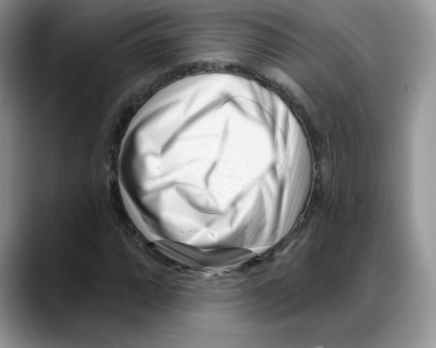 X0000088041064200706081605