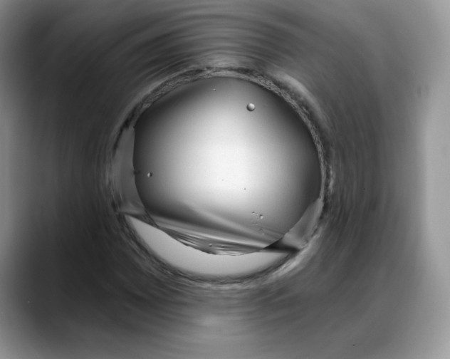 X0000088041065200706081605