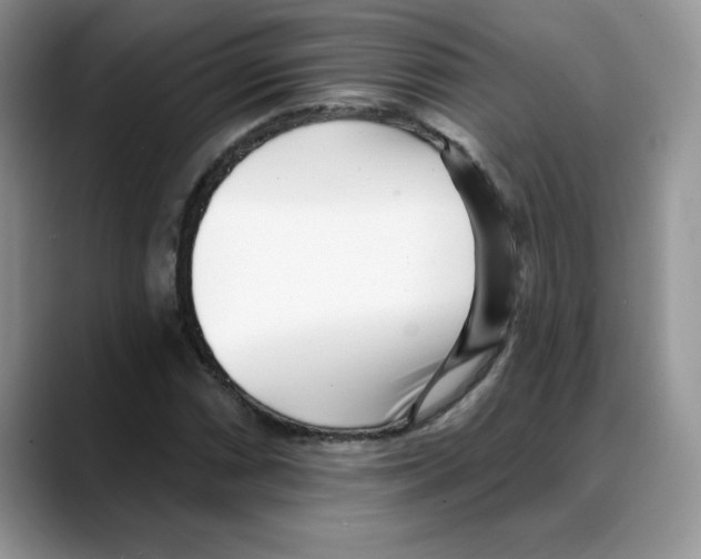 X0000088041066200706081605