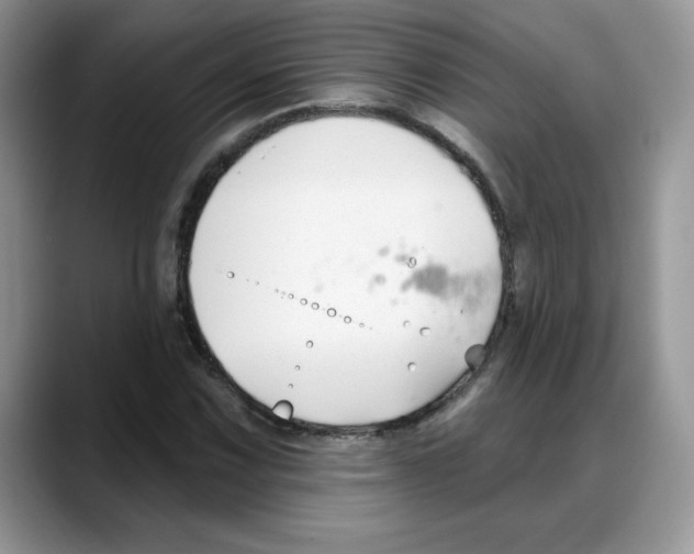 X0000088041067200706081605