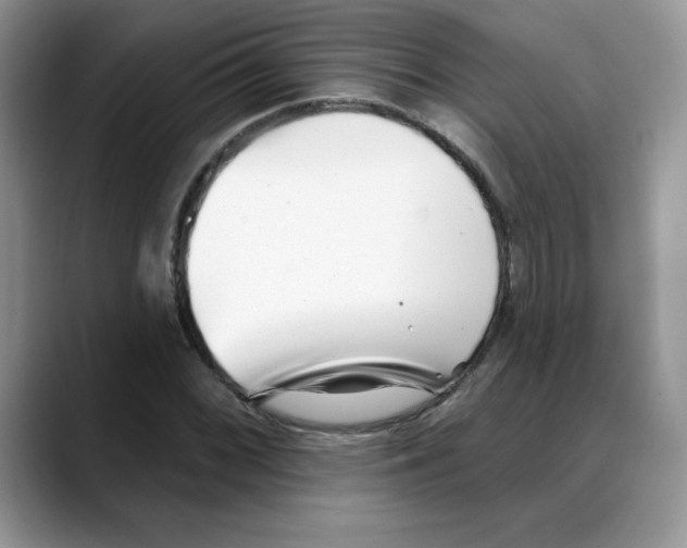 X0000088041068200706081605