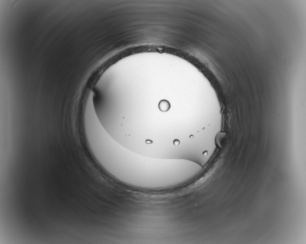 X0000088041069200706081605