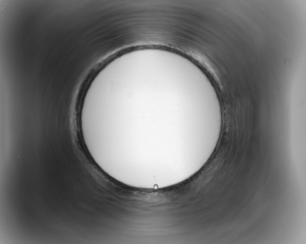 X0000088041072200706081605