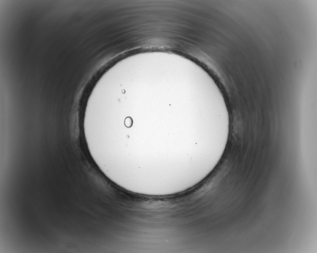 X0000088041075200706081604