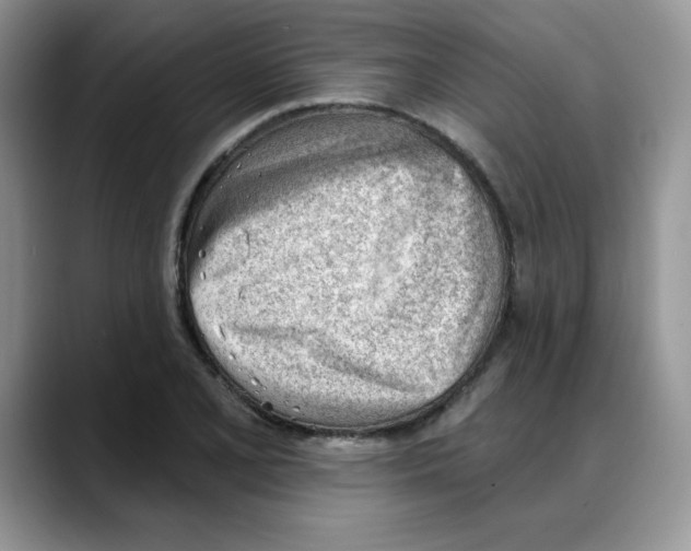 X0000088041077200706081604