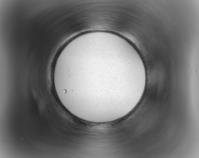 X0000088041078200706081604