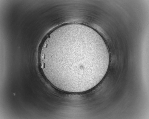 X0000088041079200706081604