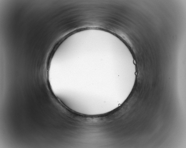 X0000088041080200706081604