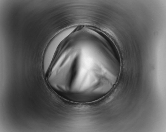 X0000088041081200706081604