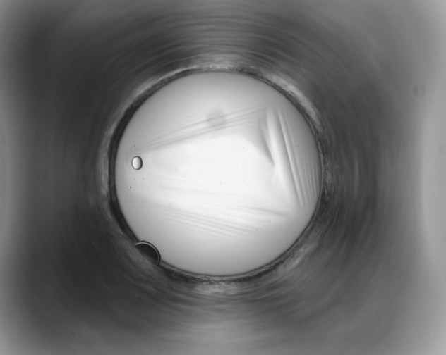 X0000088041083200706081604