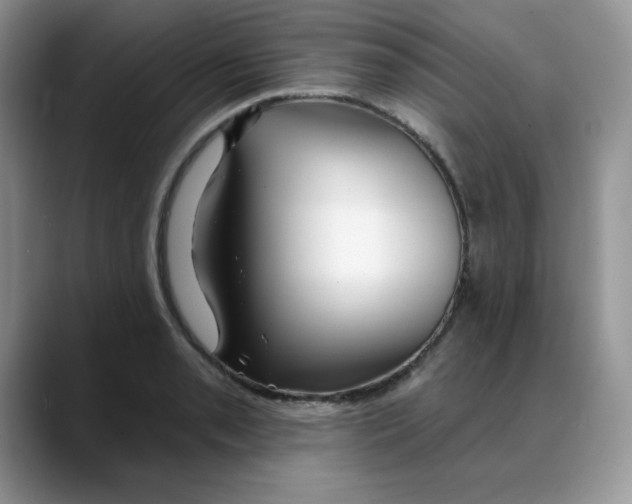 X0000088041085200706081604