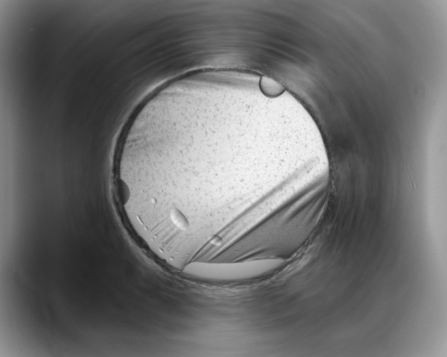 X0000088041087200706081604