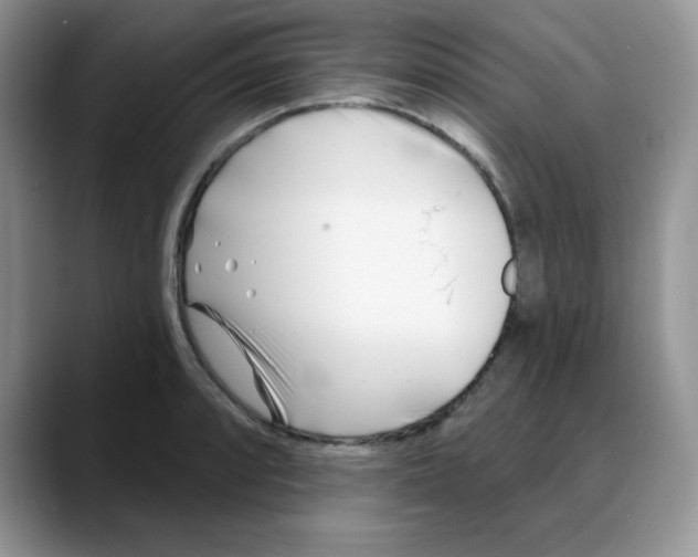 X0000088041088200706081604