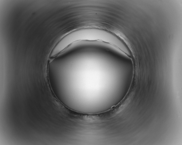 X0000088041089200706081604