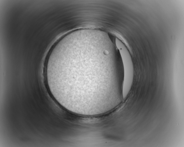 X0000088041091200706081604