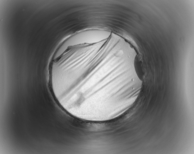 X0000088041095200706081604