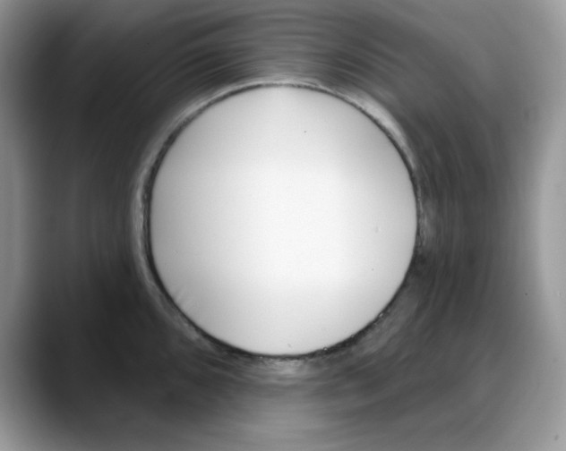 X0000088041096200706081604